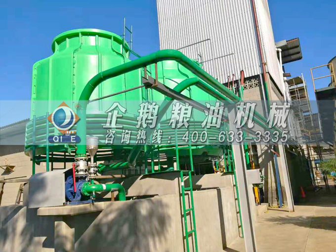 如何投資建設(shè)棕櫚油加工廠？企鵝糧油機(jī)械在線為您答疑解惑(圖3)